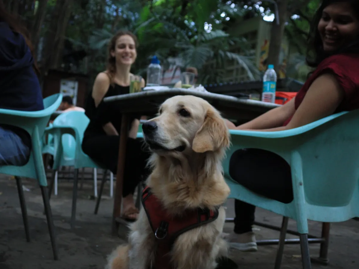 airlines-hotel-bangalore