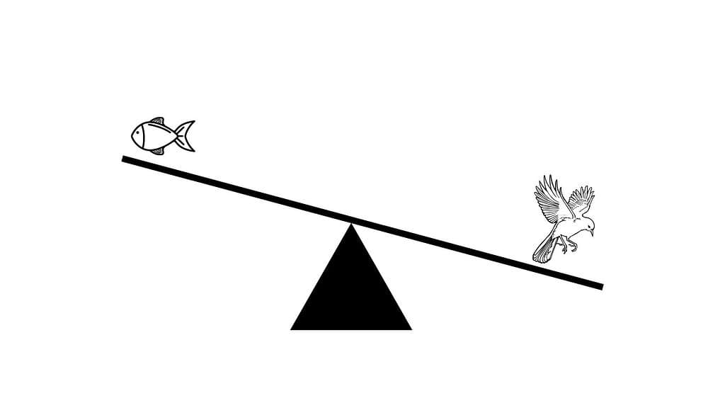 blogs-cover-medium-0